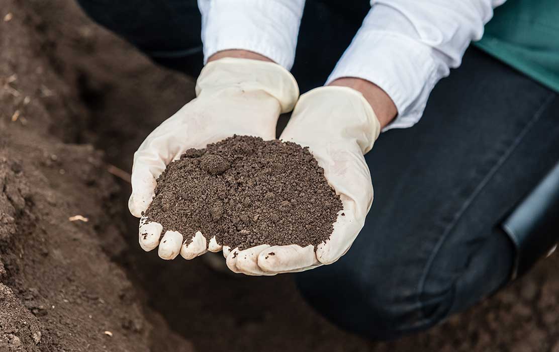 Soil Health