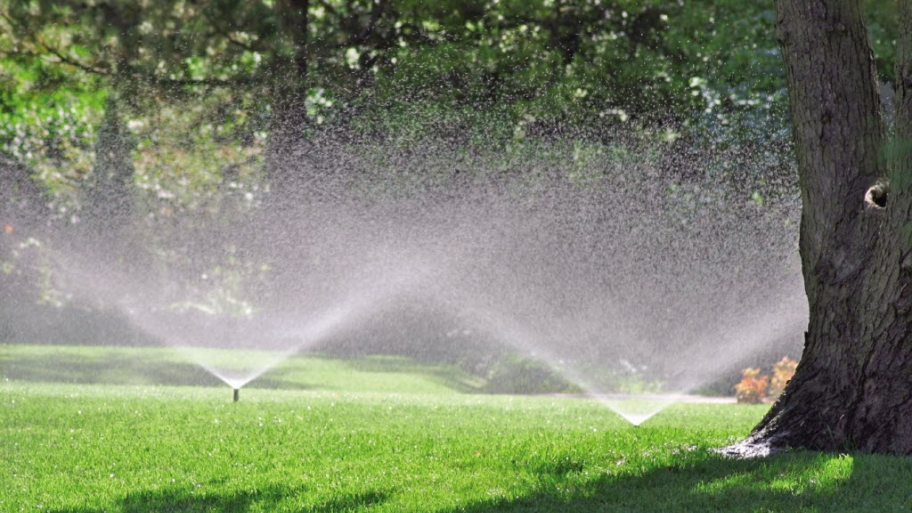 Georgia summer irrigation tips