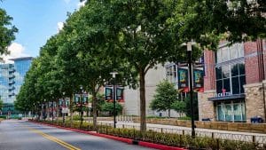 MeadowsLandscapes-commercial-truist-park (5)