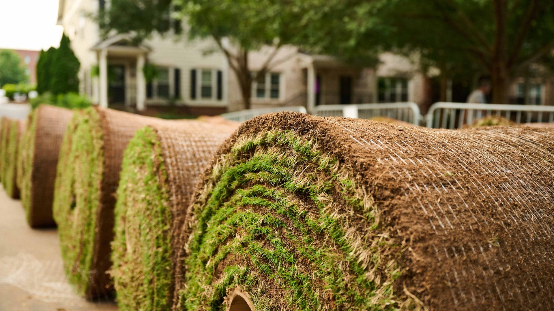 Rolled lawn ready to be planted