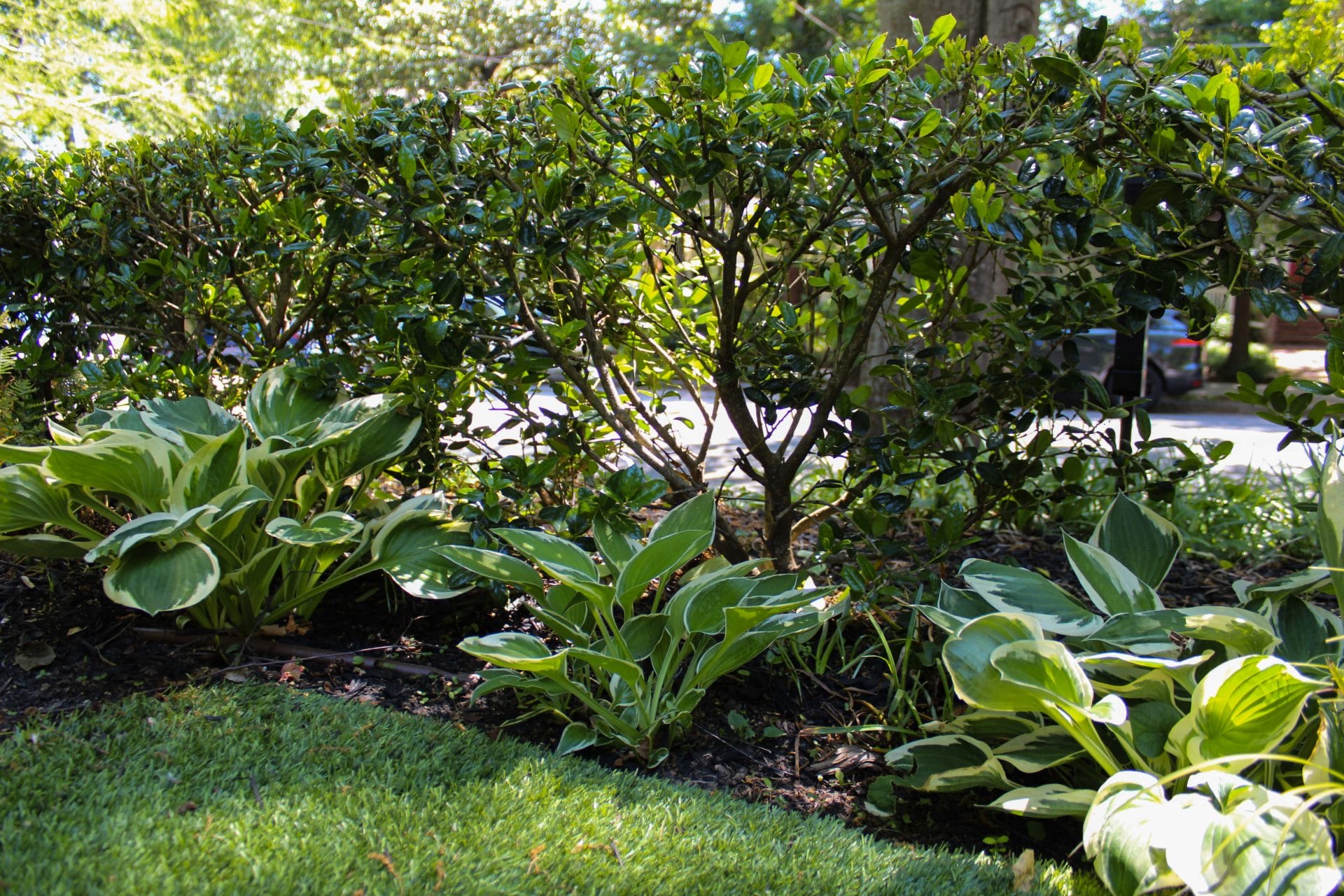 Outside gardens with trees
